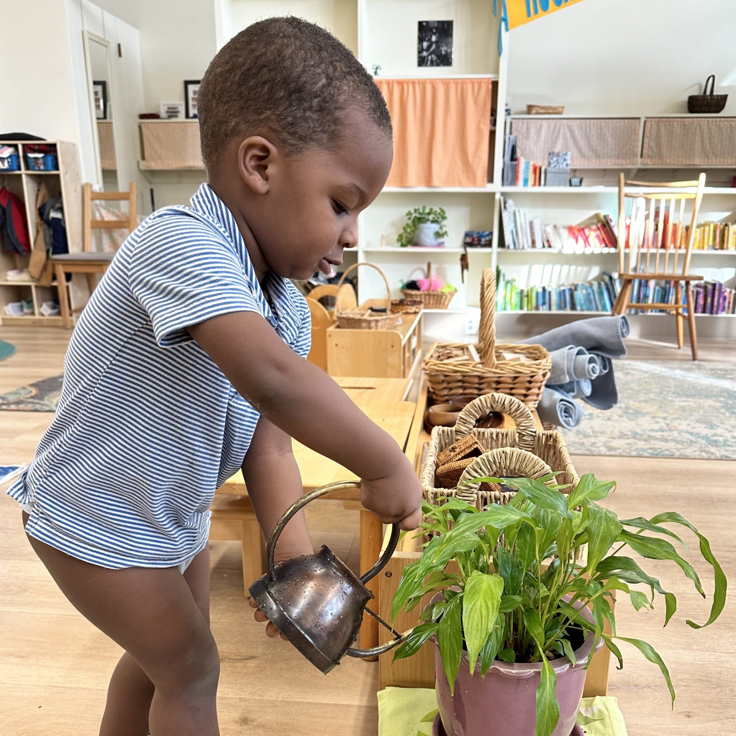 A young child waters a plant with a small watering can