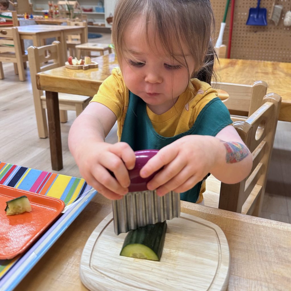 A toddler slices cucumber with a crinkle cutter during food preparation