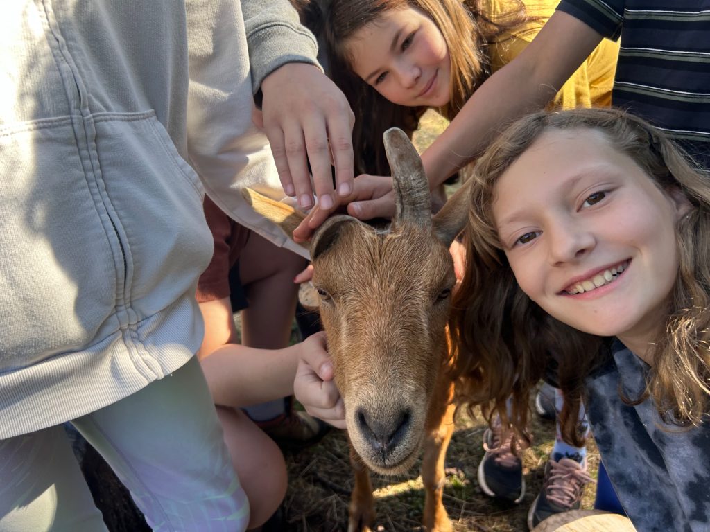 Middle school students tend to the goat herd during morning chores
