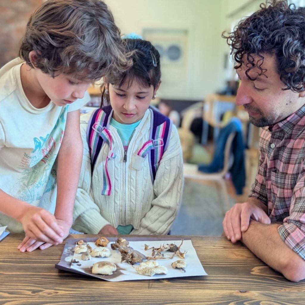 Two students identify mushrooms they collected from a research trip in the forest