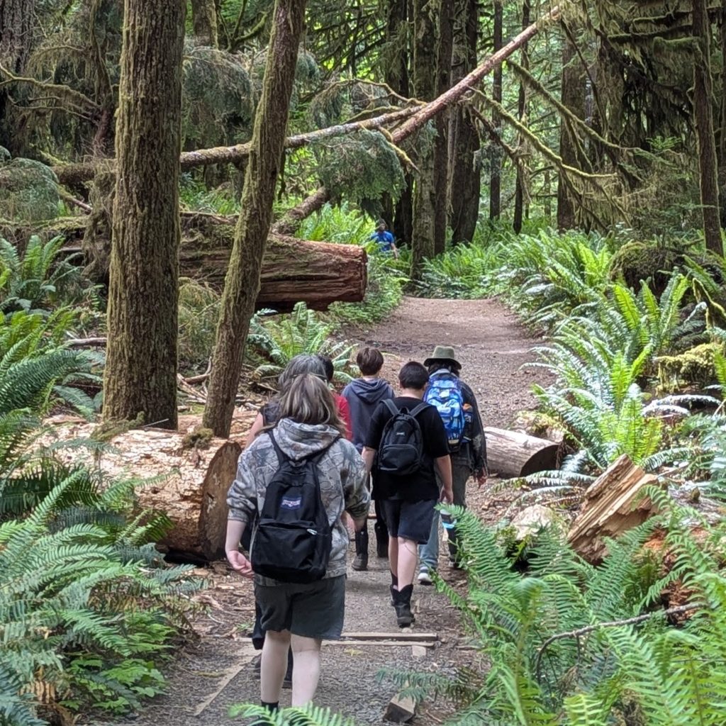 Sunstone middle school students hike through the olympic national forest